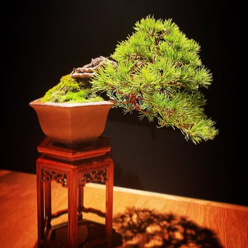 ryosen image 